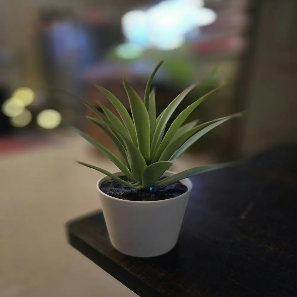 Luxury Artificial Plants